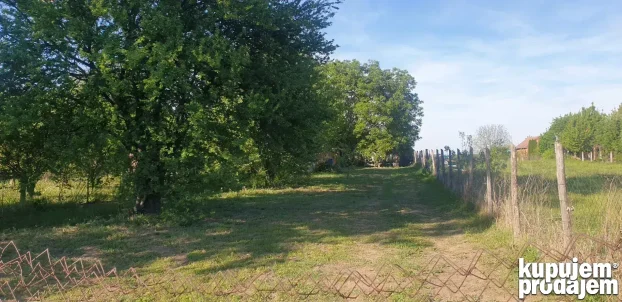 Klenak plac 5,6 ari na prodaju