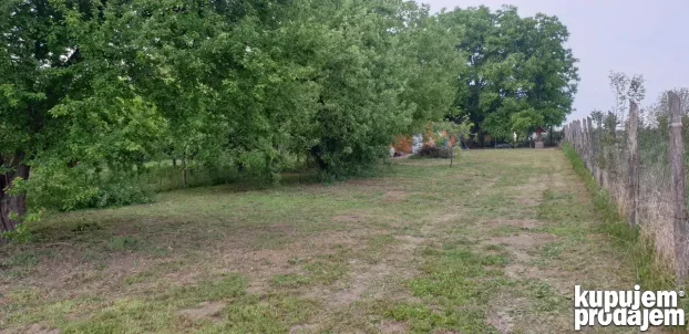 Klenak plac 5,6 ari na prodaju