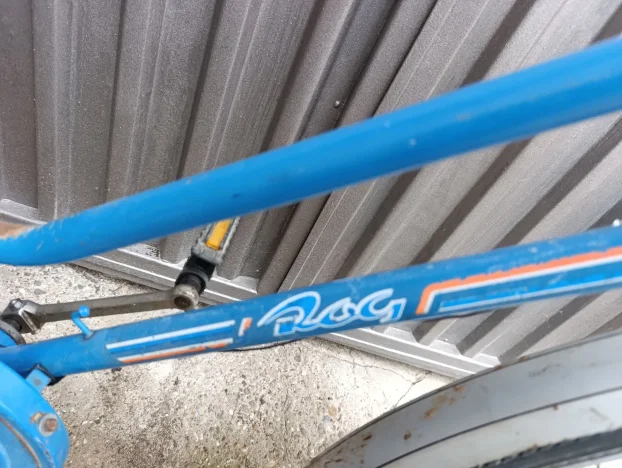 Rog Turist 28 coli sa kontra kocnicom u zad.glavi se mi,