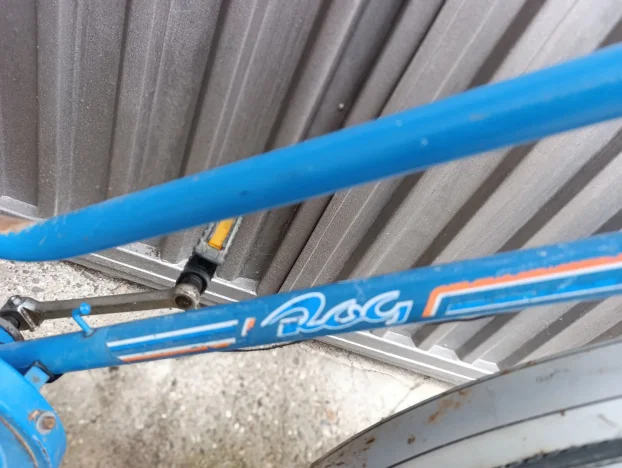 Rog Turist 28 coli sa kontra kocnicom u zad.glavi se mi,