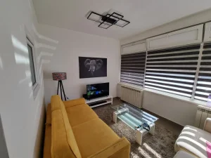 Stan na dan Beograd Zvezdara PET FRIENDLY Cvetkova Pijaca