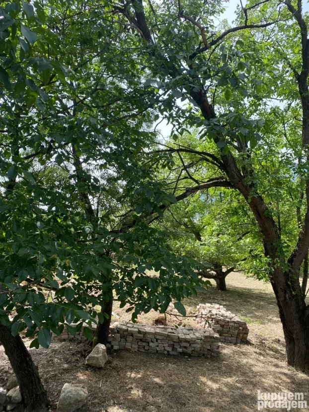 Arsenija Carnojevica 15, Nemenikuće, 1.0 jednosobna, 30 m²