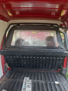 Pregrada za Citroen Berlingo