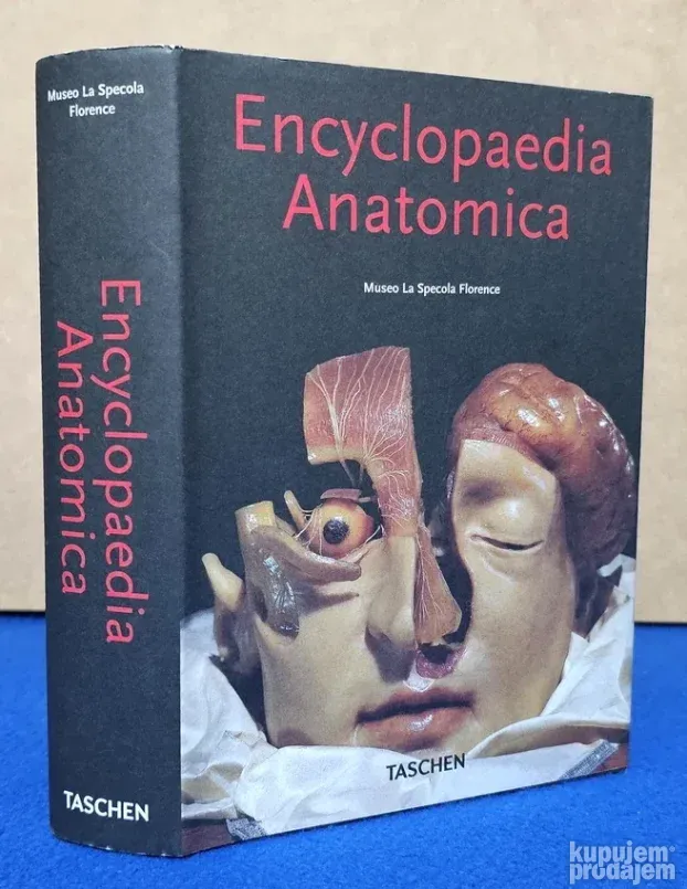 Encyclopaedia Anatomica : A Collection Of Anatomical Waxes
